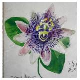 Julio de Diego - Passion Flower (Graphite, Ink & Watercolor on Paper) c. 1970