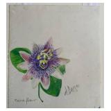 Julio de Diego - Passion Flower (Graphite, Ink & Watercolor on Paper) c. 1970