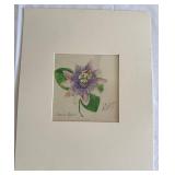 Julio de Diego - Passion Flower (Graphite, Ink & Watercolor on Paper) c. 1970