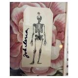 K - John Derian Skeleton Plate, Striped Tray , Skeleton Towels and More