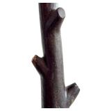 LR - Petrified Wood Branches - Fossilized Wood Pair