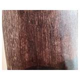 LR - Petrified Wood Branches - Fossilized Wood Pair