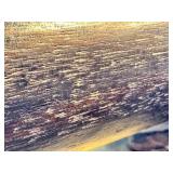 LR - Petrified Wood Branches - Fossilized Wood Pair