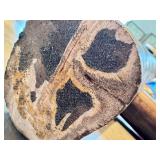 LR - Petrified Wood Branches - Fossilized Wood Pair