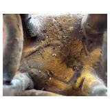 CD - Metal Sculpture - Horse with Bird on Back, Hand-Forged