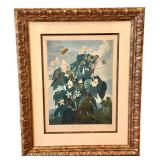 The Temple of Flora Engraving - Oblique Leaved Begonia,  Framed