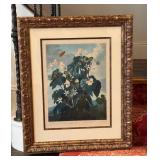 The Temple of Flora Engraving - Oblique Leaved Begonia,  Framed