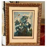 The Temple of Flora Engraving - Oblique Leaved Begonia,  Framed