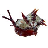 CD - Timothy Lindeman Hand-Blown Glass Snail Sculpture