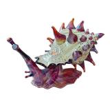 CD - Timothy Lindeman Hand-Blown Glass Snail Sculpture