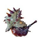 CD - Timothy Lindeman Hand-Blown Glass Snail Sculpture