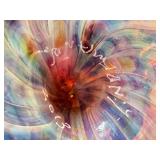 CD - Timothy Lindeman Hand-Blown Glass Snail Sculpture