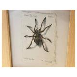 KP - Katie Musloff Lady Spider - River Journal (2014) Original Art