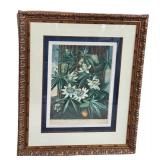 LR - The Blue Passion Flower - Framed Botanical Print, London 1800 / Robert John Thorton The Temple of Flora