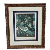 LR - The Blue Passion Flower - Framed Botanical Print, London 1800 / Robert John Thorton The Temple of Flora