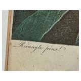 LR - The Blue Passion Flower - Framed Botanical Print, London 1800 / Robert John Thorton The Temple of Flora