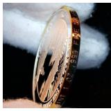 Very Rare & Spectacular Alaskan Mint 2003 24 Karat Gold Enhanced 1oz .999 Silver Round, Never Released to Public