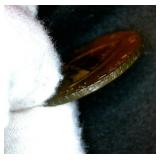 Lightly Circulated 1794 Kent Lamberhurst Halfpenny Conder Token, Moderately Scarce D&H 35a variety