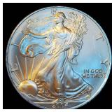 Slightly Better Date 2004 Silver Eagle