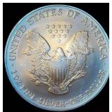 Slightly Better Date 2004 Silver Eagle