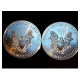 (2) Mint Fresh 2013 Silver Eagles