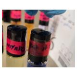 Lot of (6) Roll-On Perfumes - R. Kiss (x2), R. Crush (x2), Eat It Raw (x1), Issy Miyake (x1)