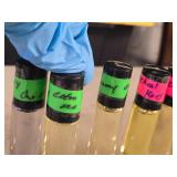 Lot of (6) Roll-On Perfumes - Jimmy Choo Various (x4), Michael Kors (x1), Gucci Guilty (x1)