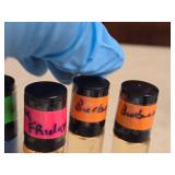 Lot of (6) Roll-On Perfumes - Paris (x2), Burbury (x2), Pink Friday, Blue Wild