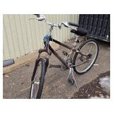 Giant 16' Trail Bike 22' Copper Frame