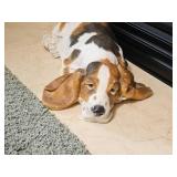 Plaster Mold Basset Hound Statue