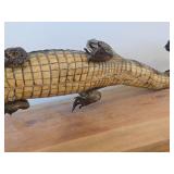 28' Alligator Taxidermy