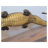 Vintage Taxidermy Caiman from 19th Century