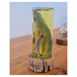 Vintage 8' Baby Shark in a Jar