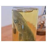 Vintage 8' Baby Shark in a Jar