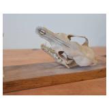 Lot of (2) Taxidermy Art of  Coyote Skulls on a Wooden Plank for Display on a Mantle