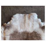 Deer theme Sheepskin Area Rug 54' x 54'
