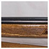 Classy Marlin 'Glenfield' Model 60 Squirrel, 22 w/scope