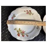 Johann Haviland Bavaria Germany Floral Rose Pattern Dinnerware Set