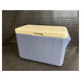 Plastic cooler with Lid - 18 in Long