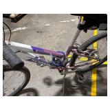 Schwinn Ranger 24 Mountain Bike - Shimano Tourney 21-Speed