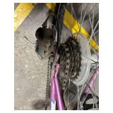 Schwinn Ranger 24 Mountain Bike - Shimano Tourney 21-Speed