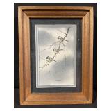 T. Soucek Bird Prints - Framed Winter Scenes (Lot of 3)