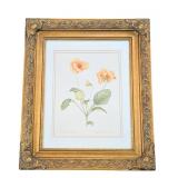 ML - Patricia M. Wittman Viola x Wittrockiana Pansy Fine Art Print in Gold Frame