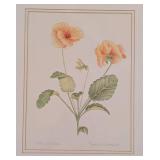 ML - Patricia M. Wittman Viola x Wittrockiana Pansy Fine Art Print in Gold Frame