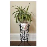 UP3 - Dracaena Warneckii Plant in 6” Pot on Decorative Iron Plant Stand