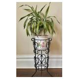 UP3 - Dracaena Warneckii Plant in 6” Pot on Decorative Iron Plant Stand