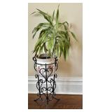 UP3 - Dracaena Warneckii Plant in 6” Pot on Decorative Iron Plant Stand