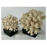 Natural White Coral Specimen Decorative Reef Coral on Black Base