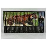 Wildlife Documentary DVD Set Animal Series Big Cats Sharks Bears Nature Collection