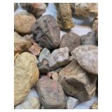 Mixed Natural Stone Rock Collection Assorted Rough River Rocks Display Craft Lot